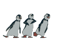 Résultat de recherche d'images pour "DES pingouins qui dansent gif"